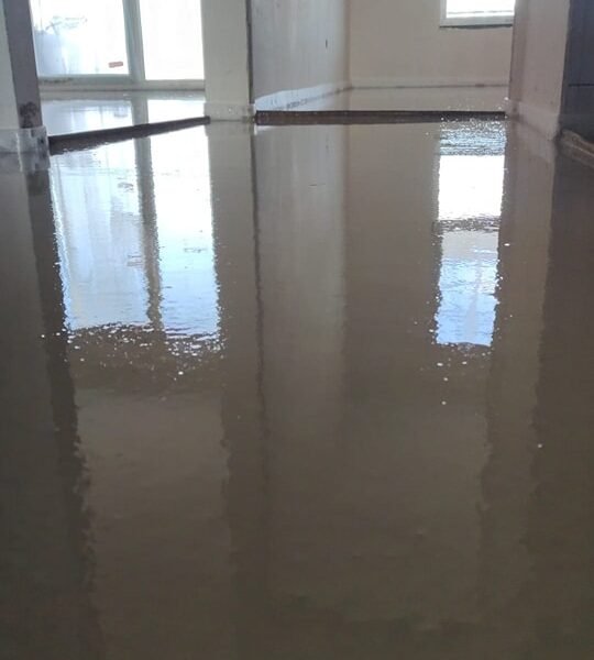 475908251 122185629002174082 7798689743570904352 n